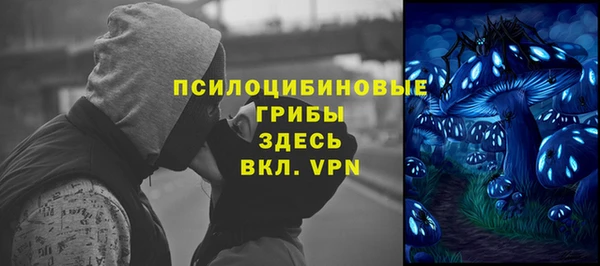 мяу мяу мука Медвежьегорск
