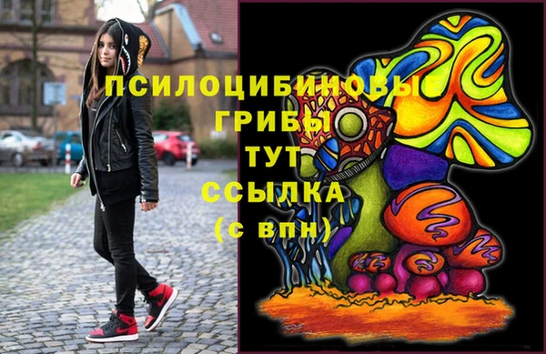 мяу мяу мука Медвежьегорск