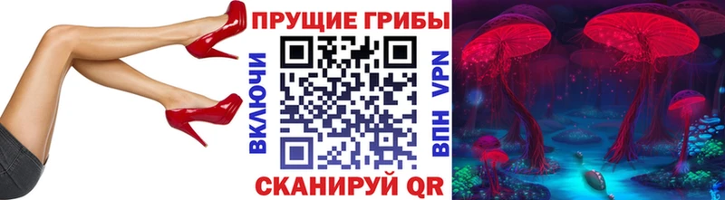 Галлюциногенные грибы Magic Shrooms Ярославль