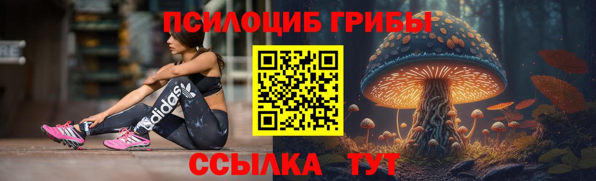 Ярославль  Галлюциногенные грибы мухоморы  Вход с VPN 